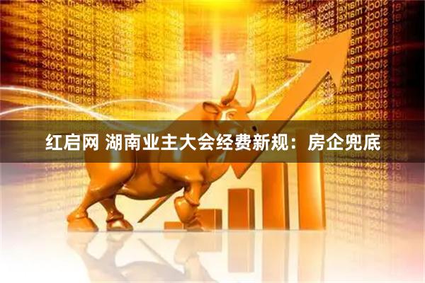 红启网 湖南业主大会经费新规：房企兜底